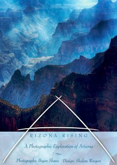 Arizona Rising (eBook, ePUB) - Shane, Bryan; Lafferty, Patricia