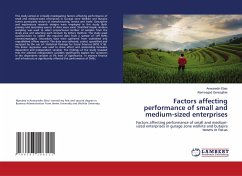 Factors affecting performance of small and medium-sized enterprises