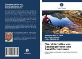 Charakteristika von Basaltaquiferen und Basaltformationen