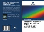 &quote;ROLLE VON PHENYTOIN BEI DER HEILUNG VON GROßEN ABSZESSHÖHLEN&quote;