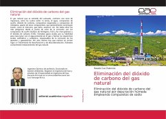 Eliminación del dióxido de carbono del gas natural - Cusi Palomino, Rosalio