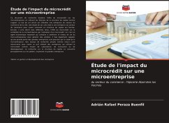 Étude de l'impact du microcrédit sur une microentreprise - Peraza Buenfil, Adrián Rafael