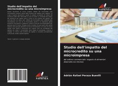 Studio dell'impatto del microcredito su una microimpresa - Peraza Buenfil, Adrián Rafael