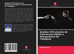 Análise CFD através de Contracção Súbita e Alargamento de Tubagens - Geeri, Satish