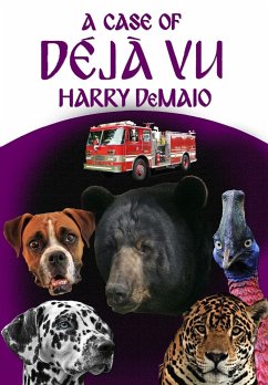 A Case of Déjà Vu (Octavius Bear Book 13) - Demaio, Harry