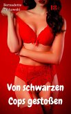 Von schwarzen Cops gestoßen (eBook, ePUB)