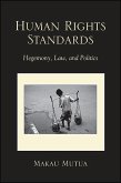 Human Rights Standards (eBook, ePUB)