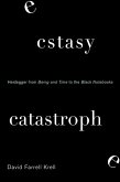 Ecstasy, Catastrophe (eBook, ePUB)