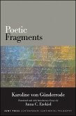 Poetic Fragments (eBook, ePUB)