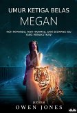 Umur Ketiga Belas Megan (eBook, ePUB)