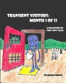 Transient Visitors (eBook, ePUB)
