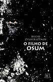 O filho de Osum (eBook, ePUB)