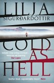 Cold as Hell: The breakout bestseller, first in the addictive An Áróra Investigation series (eBook, ePUB)