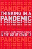Thinking in a Pandemic (eBook, ePUB)