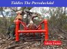 Tiddles The Pteroduckdal (eBook, ePUB) - Bild 1