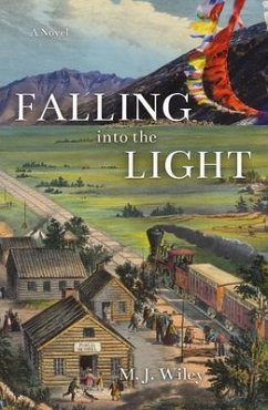 Cover Falling Into The Light (eBook, ePUB)