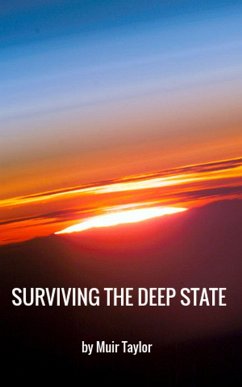 Cover SURVIVING THE DEEP STATE (eBook, ePUB)