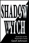 Shadow Witch (eBook, ePUB)