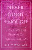 Never Good Enough (eBook, ePUB)