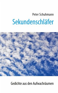 Sekundenschläfer (eBook, ePUB)