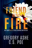A Friend in the Fire (An Auden & O'Callaghan Mystery, #2) (eBook, ePUB)