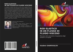 ROD ELASTICO IN UN FLUSSO DI FLUIDO VISCOSO - Shapovalov, Vladimir