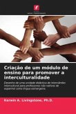 Criação de um módulo de ensino para promover a interculturalidade
