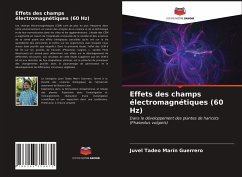 Effets des champs électromagnétiques (60 Hz) - Marín Guerrero, Juvel Tadeo