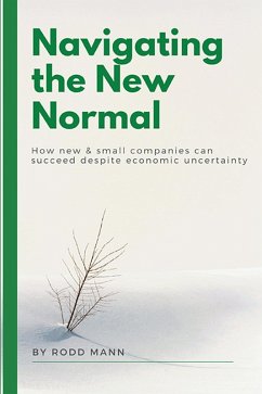 Navigating the New Normal (eBook, ePUB) - Mann, Rodd