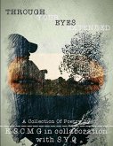 Through Your Eyes(extended) (eBook, ePUB)