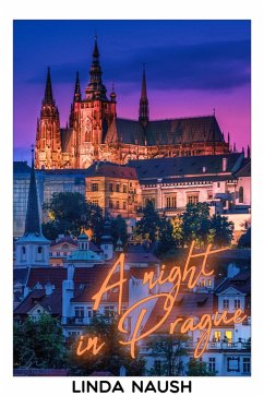 A Night in Prague (eBook, ePUB) - Naush, Linda
