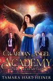 Year 2: Redemption (Guardian Angel Academy, #2) (eBook, ePUB)