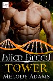 Tower (eBook, ePUB)