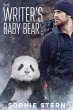 The Writer's Baby Bear (Stormy Mountain... - Bild 1