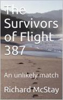 The Survivors of flight 387 (eBook, ePUB) - McStay, Richard