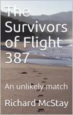 Cover The Survivors of flight 387 (eBook, ePUB)
