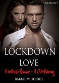 Lockdown Love. 4 x erotische Romane, 4 x Verführung (eBook, ePUB)