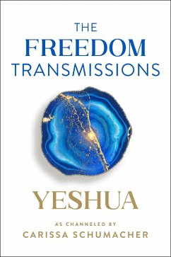 Cover The Freedom Transmissions (eBook, ePUB)