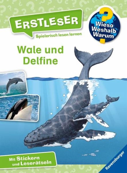 Wale und Delfine / Wieso? Weshalb? Warum? - Erstleser Bd.3 von Sandra Noa  portofrei bei bücher.de bestellen