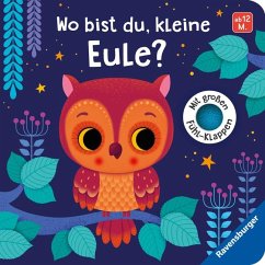 Cover Wo bist du, kleine Eule?