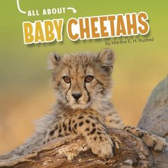 All about Baby Cheetahs - Rustad, Martha E. H.
