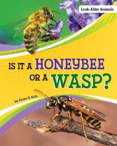 Is It a Honeybee or a Wasp? - Katz, Susan B.