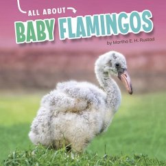 All about Baby Flamingos - Rustad, Martha E. H.