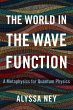 The World in the Wave Function - Bild 1