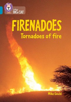 Collins Big Cat -- Firenados: Tornadoes of Fire: Band 13/Topaz: Band 13/Topaz - Gould, Mike