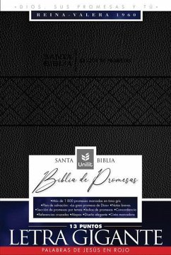 Santa Biblia de Promesas Reina-Valera 1960 / Letra Gigante - 13 Puntos / Piel Especial Con Índice / Negra // Spanish Promise Bible Rvr60 / Giant Print - 13 Points / Leathersoft with Index / Black
