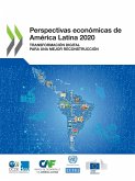 Perspectivas económicas de América Latina 2020