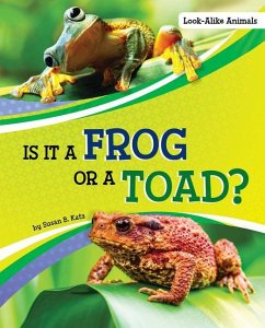 Is It a Frog or a Toad? - Katz, Susan B.