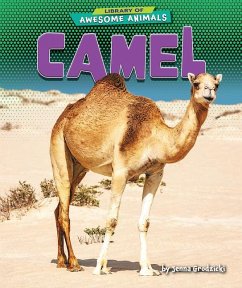 Cover Camel