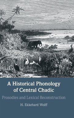 A Historical Phonology of Central Chadic - Wolff, H. Ekkehard